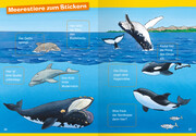 Wale und Delfine - Abbildung 5