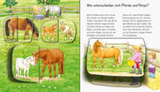 Pferde - Illustrationen 3