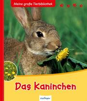 Das Kaninchen - Cover