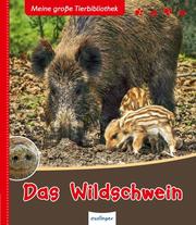 Meine große Tierbibliothek: Das Wildschwein - Cover