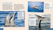 Der Delfin - Abbildung 2