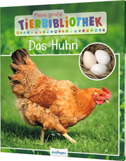 Das Huhn - Cover