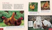 Meine große Tierbibliothek: Das Huhn - Abbildung 3