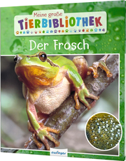 Der Frosch - Cover