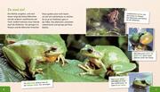 Meine große Tierbibliothek: Der Frosch - Abbildung 2