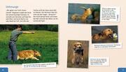 Meine große Tierbibliothek: Der Hund - Abbildung 3