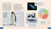 Meine große Tierbibliothek: Der Pinguin - Abbildung 3