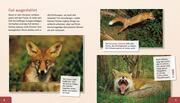 Meine große Tierbibliothek: Der Fuchs - Abbildung 2