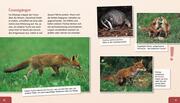 Meine große Tierbibliothek: Der Fuchs - Abbildung 3