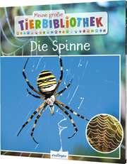 Die Spinne - Cover