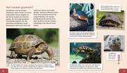 Meine große Tierbibliothek: Die Schildkröte - Abbildung 2