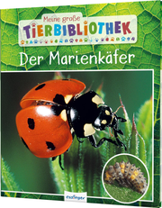 Der Marienkäfer - Cover