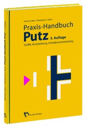 Praxis-Handbuch Putz