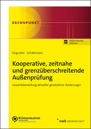 Kooperative, zeitnahe und grenzüberschreitende Außenprüfung - Cover