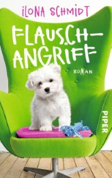 Flauschangriff - Cover