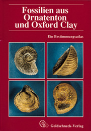 Fossilien aus Ornatenton und Oxford Clay