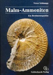 Malm-Ammoniten