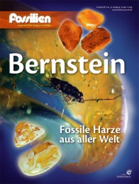 Bernstein - Fossile Harze aus aller Welt