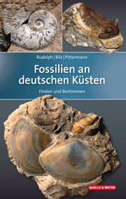 Fossilien an deutschen Küsten - Cover