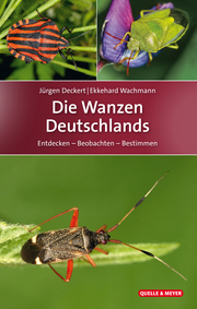 Die Wanzen Deutschlands - Cover