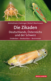 Die Zikaden Deutschlands, Österreichs und der Schweiz - Cover