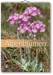 Alpenblumen 2017