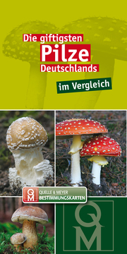 Die giftigsten Pilze Deutschlands im Vergleich - Cover