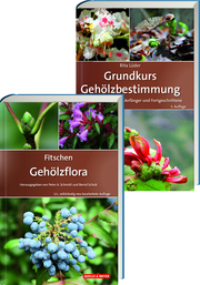 Fitschen - Gehölzflora 13. Auflage + Grundkurs Gehölzbestimmung 3. Auflage