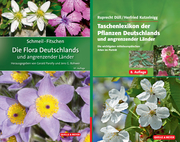 SCHMEIL-FITSCHEN Die Flora Deutschlands und angrenzender Länder/Taschenlexikon der Pflanzen Deutschlands und angrenzender Länder