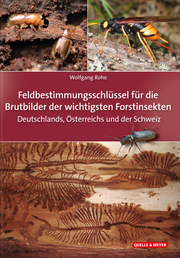 Die Brutbilder der wichtigsten Forstinsekten - Cover