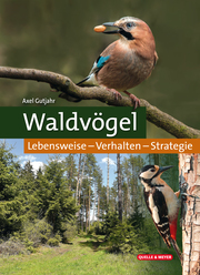 Waldvögel - Cover