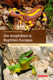 Die Amphibien & Reptilien Europas