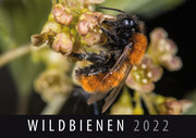 Wildbienen 2022