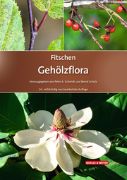 Fitschen - Gehölzflora - Cover