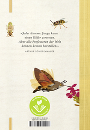 Der Insektensammler - Illustrationen 1