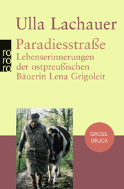 Paradiesstraße - Cover