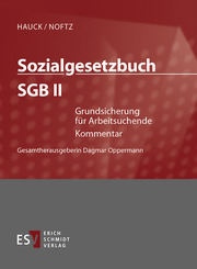 Sozialgesetzbuch (SGB) II: Grundsicherung für Arbeitsuchende - Einzelbezug