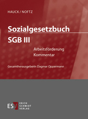 Sozialgesetzbuch (SGB) III: Arbeitsförderung - Einzelbezug