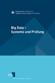 Big Data - Systeme und Prüfung