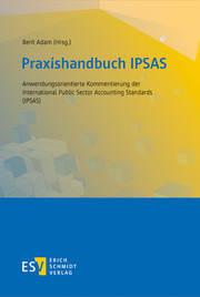 Praxishandbuch IPSAS