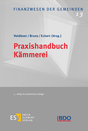 Praxishandbuch Kämmerei - Cover