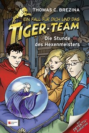 Ein Fall für dich und das Tiger-Team 38 - Cover