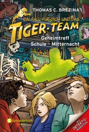 Ein Fall für dich und das Tiger-Team 40 - Cover