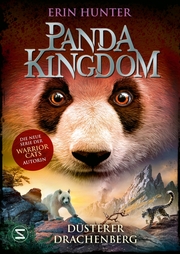 Panda Kingdom - Düsterer Drachenberg