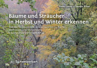 Bäume und Sträucher in Herbst und Winter erkennen