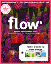 Flow Nummer 29 - Cover