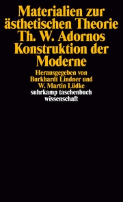 Materialien zur ästhetischen Theorie - Theodor W. Adornos Konstruktion der Moder - Cover