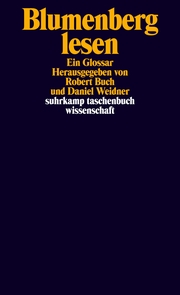 Blumenberg lesen - Cover