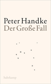 Der Große Fall - Cover