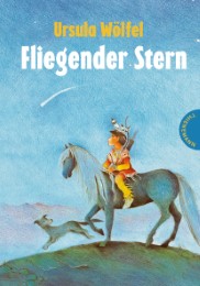 Fliegender Stern - Cover